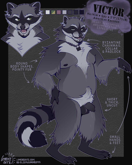 DomulanWarbird 02/12/2026