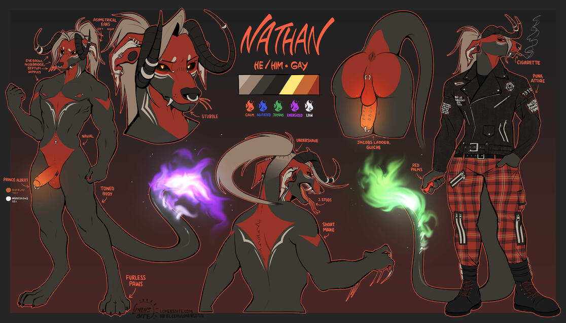 DomulanWarbird - Ref Design