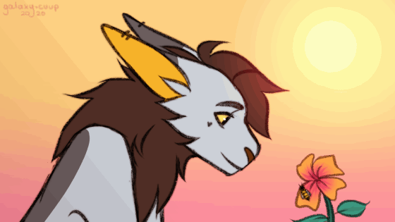 Beauty of Life - Homepage Animation (21&#39;)